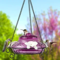 Natures Way Bird Products Antique Top-Fill Hummingbird Feeder, Plum, 14-oz -Sunny Decor Shop 818558 PT1. AC SS1800 V1681502256