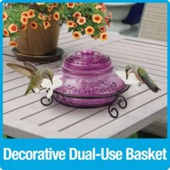 Natures Way Bird Products Antique Top-Fill Hummingbird Feeder, Plum, 14-oz -Sunny Decor Shop 818558 PT3. AC SS1800 V1681501598