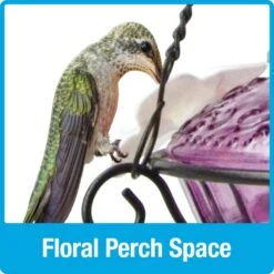 Natures Way Bird Products Antique Top-Fill Hummingbird Feeder, Plum, 14-oz -Sunny Decor Shop 818558 PT5. AC SS1800 V1681502303