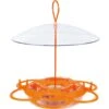Natures Way Bird Products All-In-One Oriole Buffet Bird Feeder, Orange, 12-oz -Sunny Decor Shop 818606 MAIN. AC SS1800 V1681509679