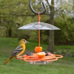 Natures Way Bird Products All-In-One Oriole Buffet Bird Feeder, Orange, 12-oz -Sunny Decor Shop 818606 PT1. AC SS1800 V1681509685