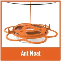 Natures Way Bird Products All-In-One Oriole Buffet Bird Feeder, Orange, 12-oz -Sunny Decor Shop 818606 PT2. AC SS1800 V1681742888