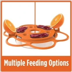 Natures Way Bird Products All-In-One Oriole Buffet Bird Feeder, Orange, 12-oz -Sunny Decor Shop 818606 PT4. AC SS1800 V1681742881