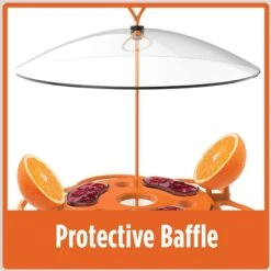 Natures Way Bird Products All-In-One Oriole Buffet Bird Feeder, Orange, 12-oz -Sunny Decor Shop 818606 PT5. AC SS1800 V1681742881
