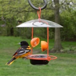 Natures Way Bird Products Wire Oriole Bird Feeder, Orange, 0.75-cup -Sunny Decor Shop 818622 PT1. AC SS1800 V1681739794