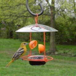 Natures Way Bird Products Wire Oriole Bird Feeder, Orange, 0.75-cup -Sunny Decor Shop 818622 PT2. AC SS1800 V1681739681