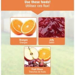 Natures Way Bird Products Wire Oriole Bird Feeder, Orange, 0.75-cup -Sunny Decor Shop 818622 PT3. AC SS1800 V1681743895