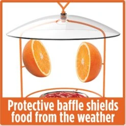 Natures Way Bird Products Wire Oriole Bird Feeder, Orange, 0.75-cup -Sunny Decor Shop 818622 PT4. AC SS1800 V1681742873