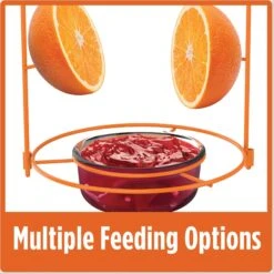 Natures Way Bird Products Wire Oriole Bird Feeder, Orange, 0.75-cup -Sunny Decor Shop 818622 PT5. AC SS1800 V1681742871