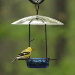 Natures Way Bird Products Bluebird Buffet Bird Feeder, Blue, 0.75-cup -Sunny Decor Shop 818638 PT2. AC SS1800 V1681501612