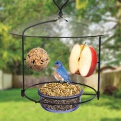 Natures Way Bird Products Bluebird Buffet Bird Feeder, Blue, 0.75-cup -Sunny Decor Shop 818638 PT4. AC SS1800 V1681500990
