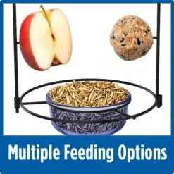 Natures Way Bird Products Bluebird Buffet Bird Feeder, Blue, 0.75-cup -Sunny Decor Shop 818638 PT5. AC SS1800 V1681500921