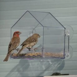 Natures Way Bird Products Clear View Window Bird Feeder, Clear, 2-cup -Sunny Decor Shop 818654 PT1. AC SS1800 V1681738258