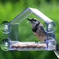Natures Way Bird Products Clear View Window Bird Feeder, Clear, 2-cup -Sunny Decor Shop 818654 PT2. AC SS1800 V1681739702