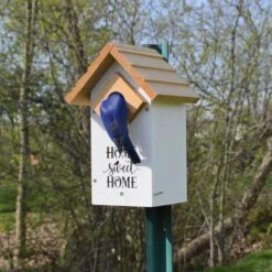 Natures Way Bird Products Farmhouse Bluebird Bird House, White -Sunny Decor Shop 818798 PT2. AC SS1800 V1681738234