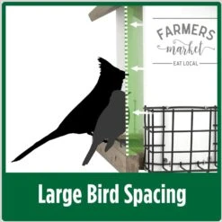 Natures Way Bird Products Farmhouse Hopper Bird Feeder, White, 3.1-qt -Sunny Decor Shop 818830 PT4. AC SS1800 V1681742797