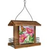 Natures Way Bird Products Stained Glass Hopper Bird Feeder, Multiple Colors, 3.1-qt -Sunny Decor Shop 818846 MAIN. AC SS1800 V1681738303