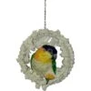 Super Bird Creations Snuggle Ring Bird Toy -Sunny Decor Shop 864742 MAIN. AC SS1800 V1687883090