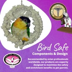 Super Bird Creations Snuggle Ring Bird Toy -Sunny Decor Shop 864742 PT7. AC SS1800 V1687887275