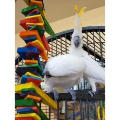 Super Bird Creations Triangle Teasers Bird Toy 14 Super Bird Creations Triangle Teasers Bird Toy -Sunny Decor Shop 864758 PT3. AC SS1800 V1687883209