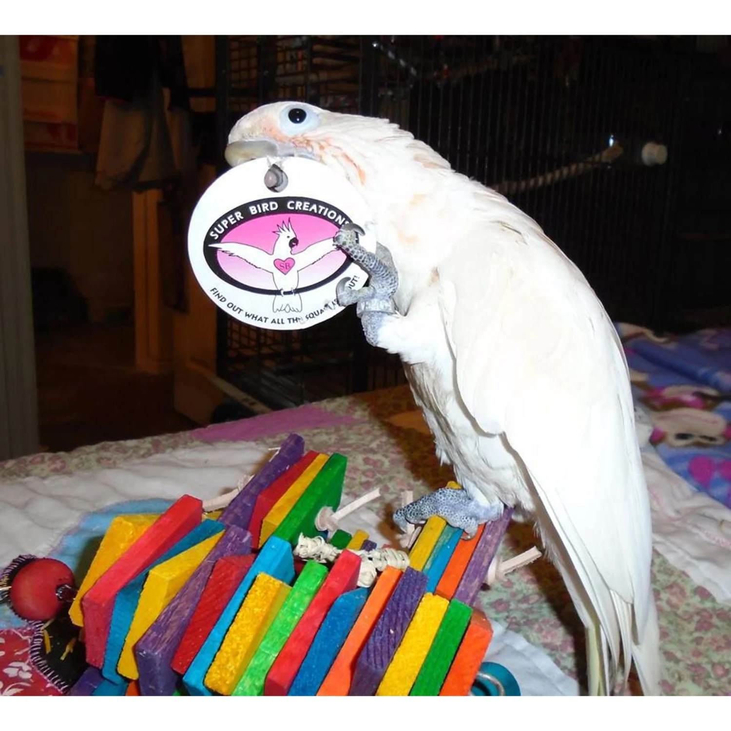 Super Bird Creations Woodpile Bird Toy 6 Super Bird Creations Woodpile Bird Toy - Image 4