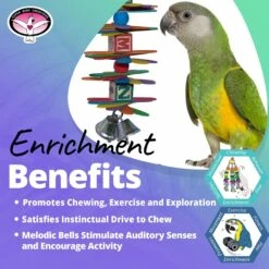 Super Bird Creations ABC Spoon Stack Bird Toy -Sunny Decor Shop 864790 PT4. AC SS1800 V1687881710