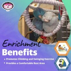 Super Bird Creations Orbiter Bird Toy -Sunny Decor Shop 864806 PT4. AC SS1800 V1687880183