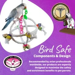 Super Bird Creations Orbiter Bird Toy -Sunny Decor Shop 864806 PT7. AC SS1800 V1687887329