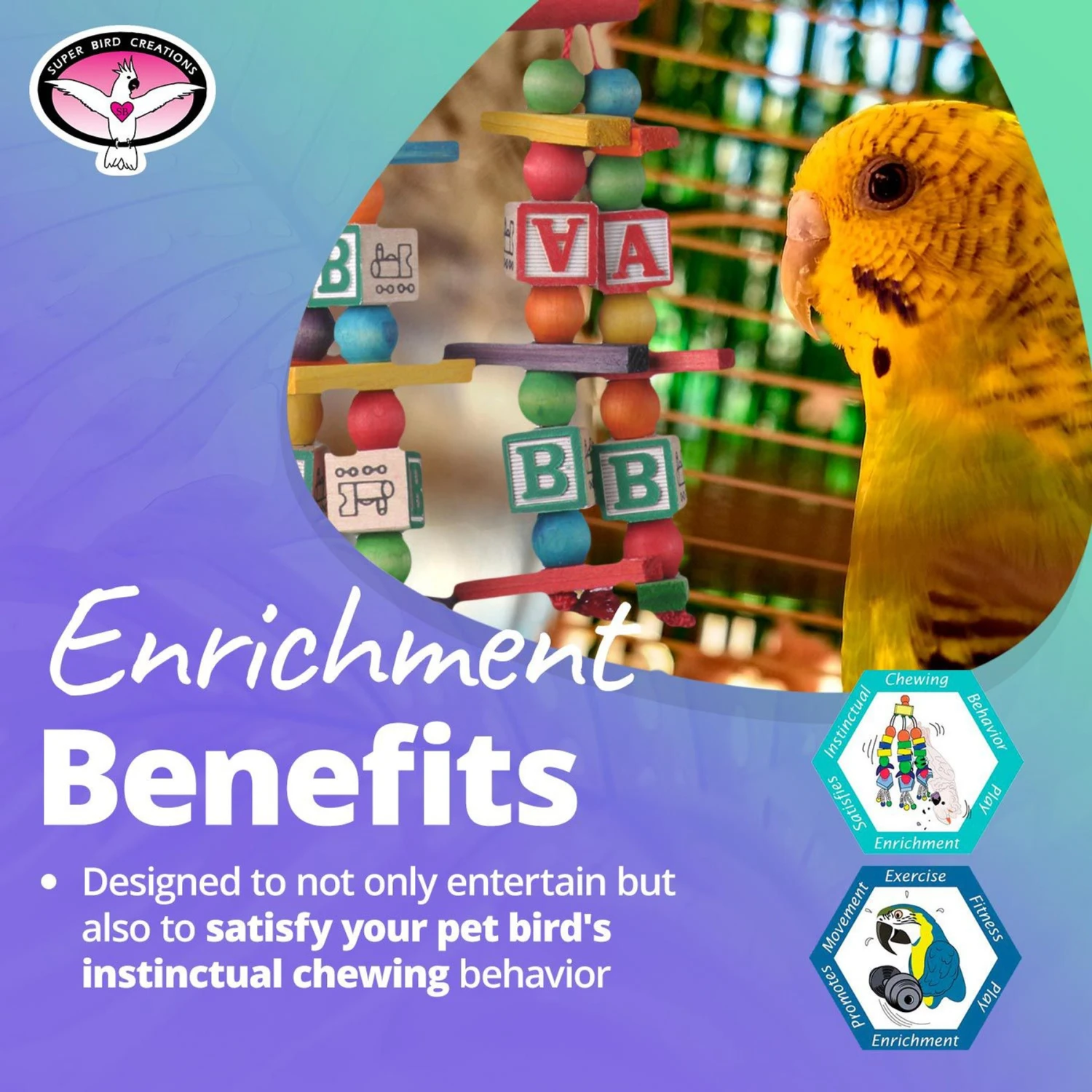 Super Bird Creations Katy's ABCs Jr. Bird Toy 7 Super Bird Creations Katy's ABCs Jr. Bird Toy - Image 5