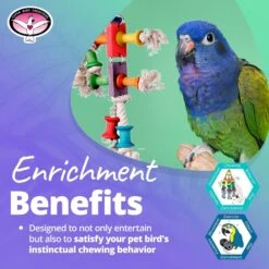 Super Bird Creations Dancing Spools Bird Toy -Sunny Decor Shop 864838 PT4. AC SS1800 V1687891873