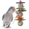 Super Bird Creations Crunch & Munch Bird Toy -Sunny Decor Shop 864870 MAIN. AC SS1800 V1687883153