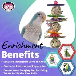 Super Bird Creations Crunch & Munch Bird Toy -Sunny Decor Shop 864870 PT4. AC SS1800 V1687882664