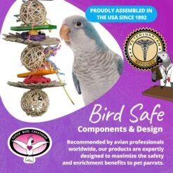 Super Bird Creations Crunch & Munch Bird Toy -Sunny Decor Shop 864870 PT7. AC SS1800 V1687880181