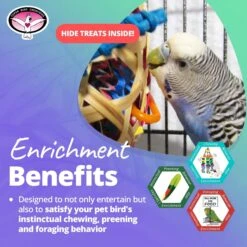 Super Bird Creations Basket Case Bird Toy 14 Super Bird Creations Basket Case Bird Toy -Sunny Decor Shop 864886 PT4. AC SS1800 V1687893040