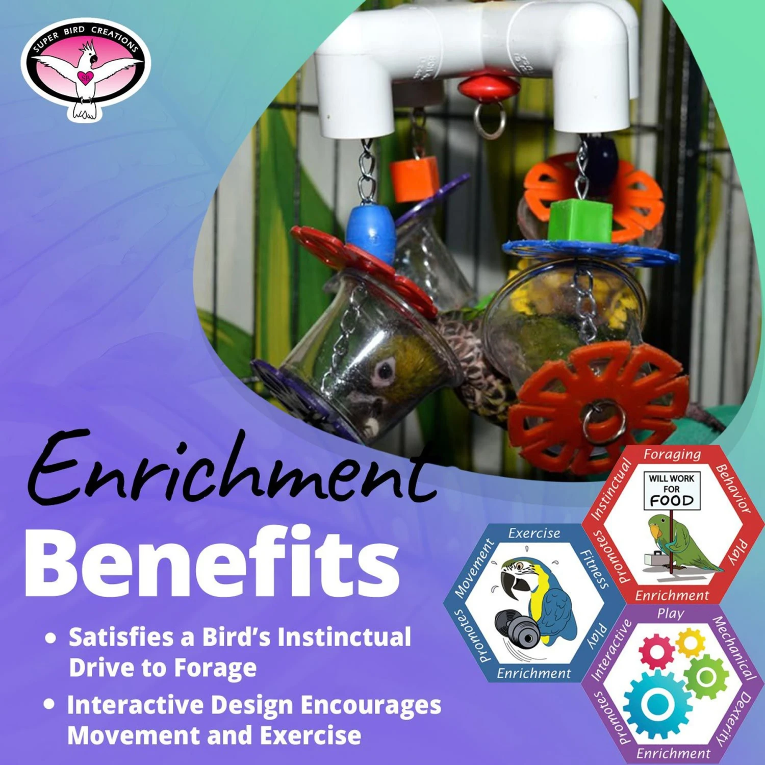 Super Bird Creations 4 Way Forager Bird Toy 7 Super Bird Creations 4 Way Forager Bird Toy - Image 5