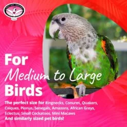 Super Bird Creations 4 Way Forager Bird Toy 16 Super Bird Creations 4 Way Forager Bird Toy -Sunny Decor Shop 864902 PT5. AC SS1800 V1687892981