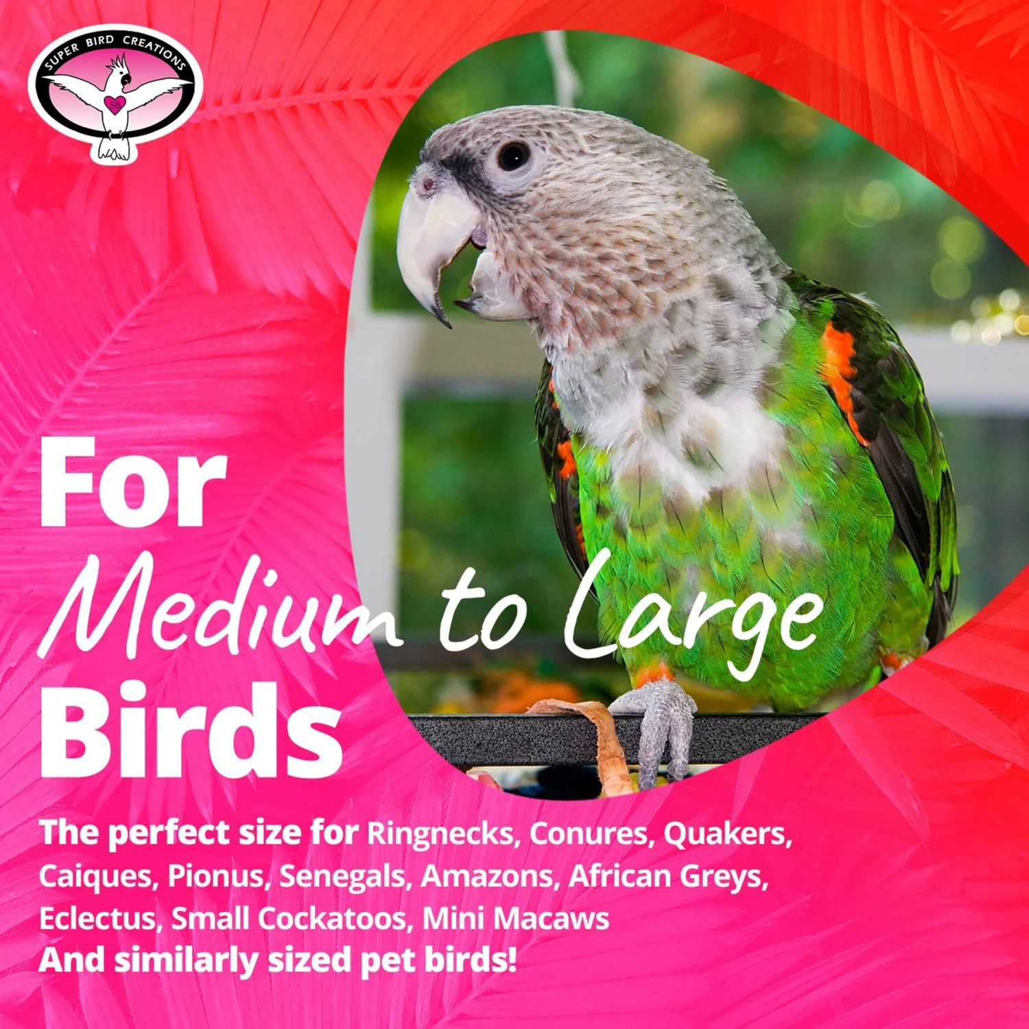 Super Bird Creations 4 Way Forager Bird Toy 8 Super Bird Creations 4 Way Forager Bird Toy - Image 6