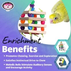 Super Bird Creations Balsa Stack Bird Toy -Sunny Decor Shop 864918 PT4. AC SS1800 V1687892497