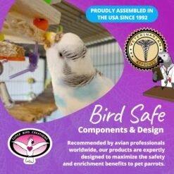 Super Bird Creations Balsa Stack Bird Toy -Sunny Decor Shop 864918 PT7. AC SS1800 V1687882548