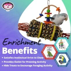 Super Bird Creations Firecracker Jr. Bird Toy -Sunny Decor Shop 864934 PT4. AC SS1800 V1687881323