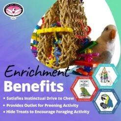 Super Bird Creations Mini Foraging Pouch Bird Toy -Sunny Decor Shop 864950 PT4. AC SS1800 V1687880234