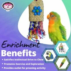 Super Bird Creations Pocket Rocket Bird Toy -Sunny Decor Shop 864966 PT4. AC SS1800 V1687892438