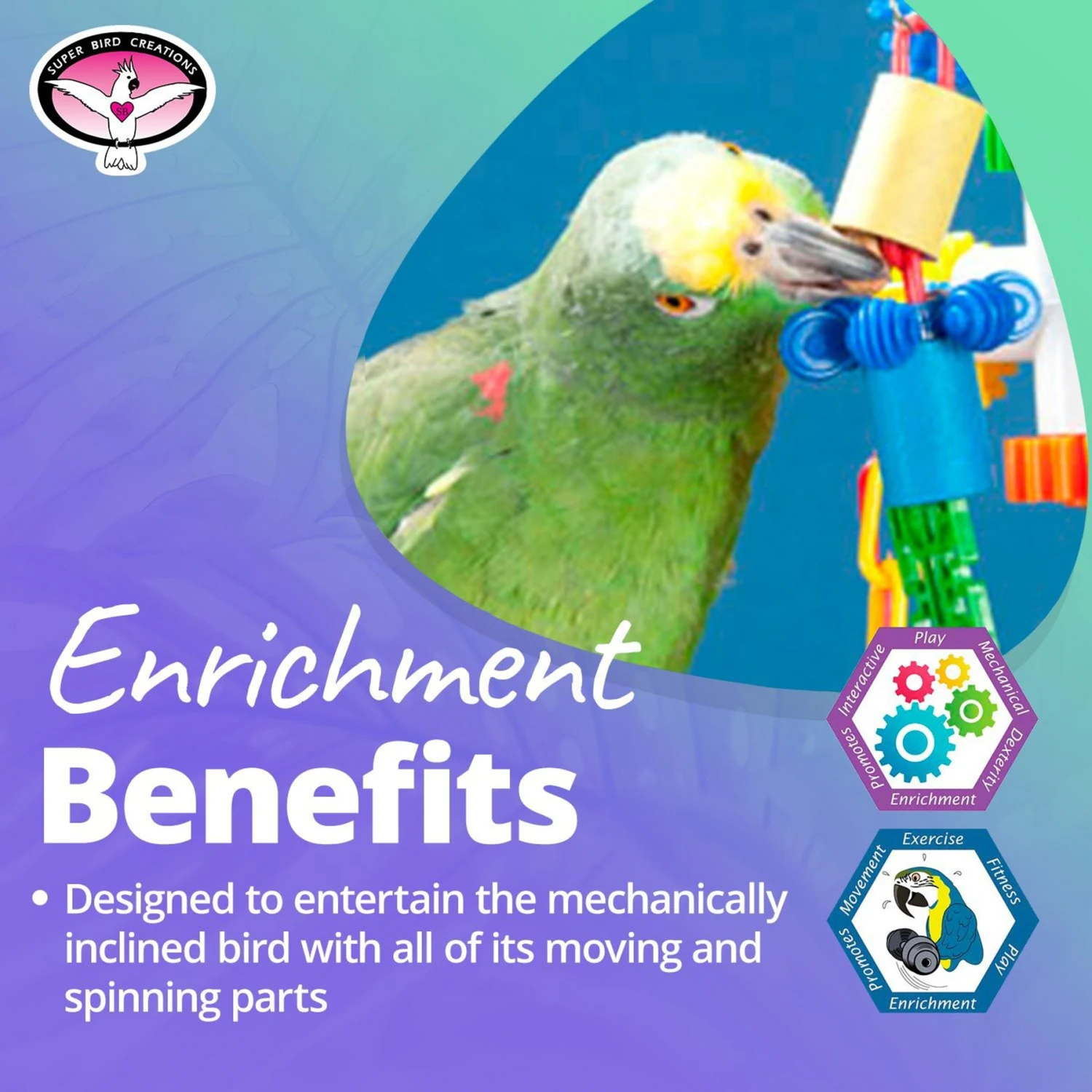 Super Bird Creations 4 Way Fun Bird Toy 6 Super Bird Creations 4 Way Fun Bird Toy - Image 4