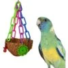 Super Bird Creations Coco Treat Cup Bird Toy 2 Super Bird Creations Coco Treat Cup Bird Toy -Sunny Decor Shop 865046 MAIN. AC SS1800 V1687890212