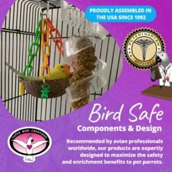 Super Bird Creations Coco Treat Cup Bird Toy -Sunny Decor Shop 865046 PT7. AC SS1800 V1687892559