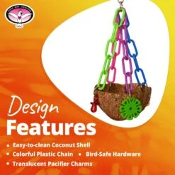 Super Bird Creations Coco Treat Cup Bird Toy -Sunny Decor Shop 865046 PT8. AC SS1800 V1687883572