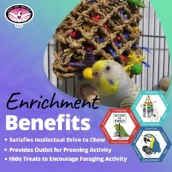 Super Bird Creations Pickin' Pocket Bird Toy -Sunny Decor Shop 865062 PT4. AC SS1800 V1687893704