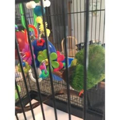 Super Bird Creations Flower Power Bird Toy 14 Super Bird Creations Flower Power Bird Toy -Sunny Decor Shop 865094 PT3. AC SS1800 V1687882552