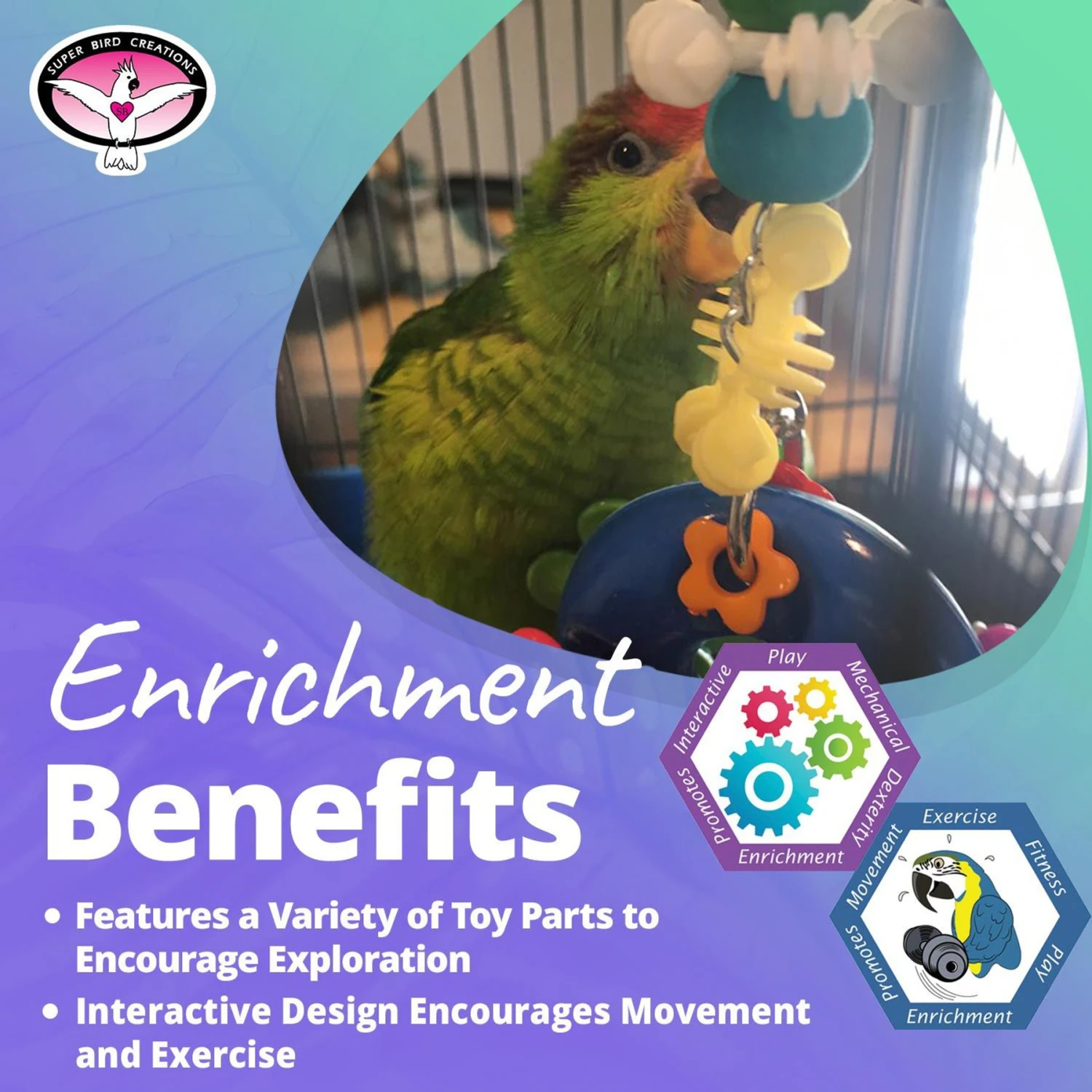 Super Bird Creations Flower Power Bird Toy 7 Super Bird Creations Flower Power Bird Toy - Image 5