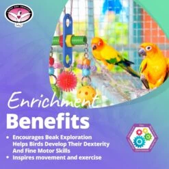 Super Bird Creations Tug 'O War Bird Toy -Sunny Decor Shop 865110 PT4. AC SS1800 V1687887389